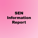 SEN Information Report