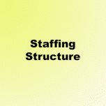 Staffing Structure